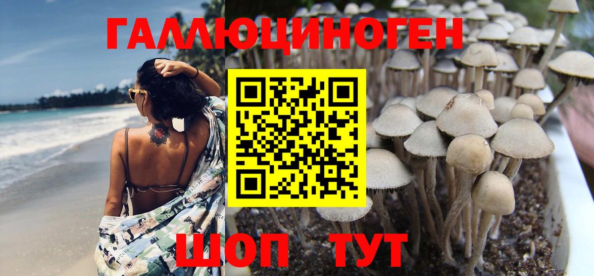Галлюциногенные грибы Magic Shrooms Тобольск